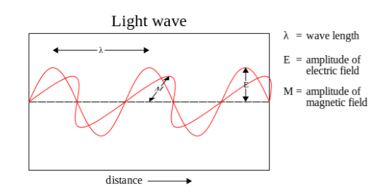 Световые волны являются примером поперечной волны