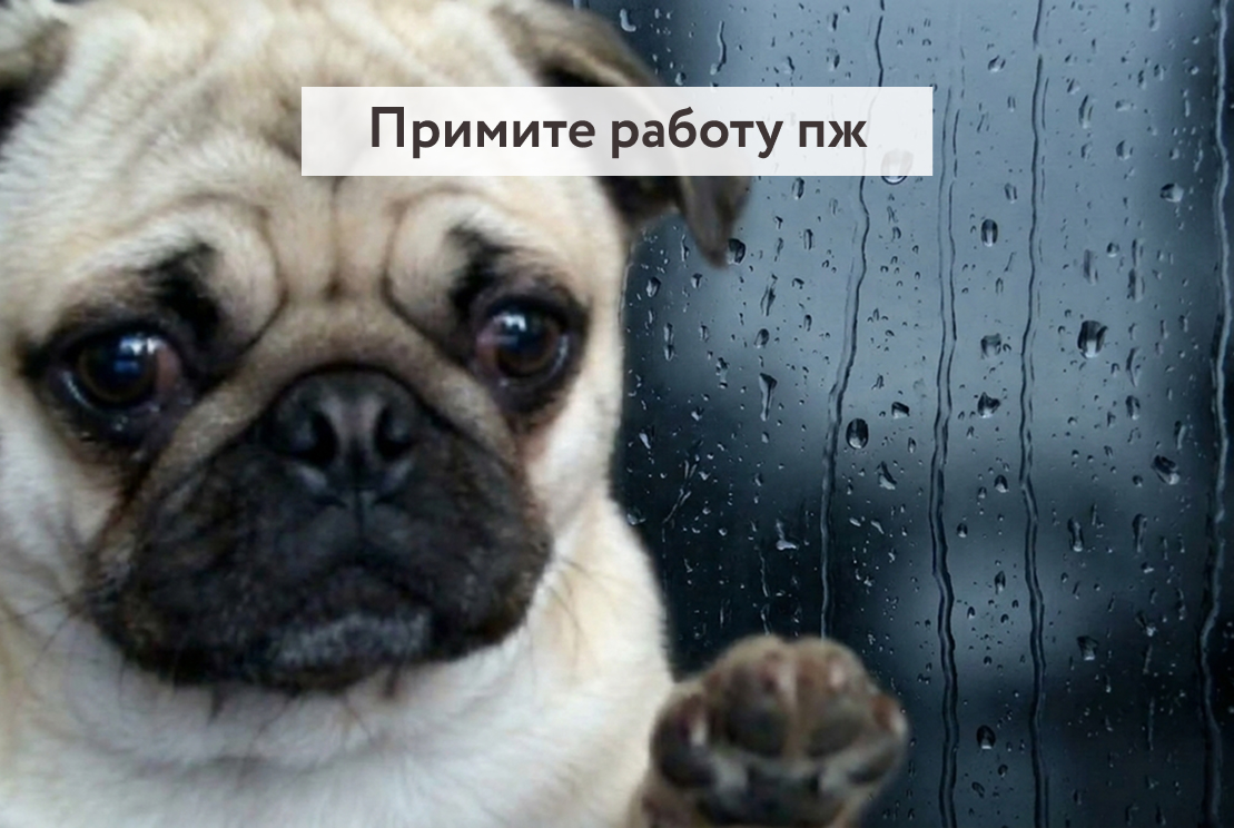 Как проверить источник текста