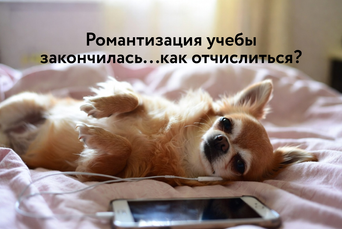 Что дает учеба в вузе