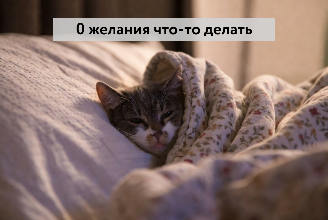 Как поднять мотивацию к учебе