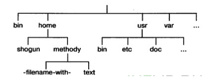 Иерархическая файловая структура в ОС Linux