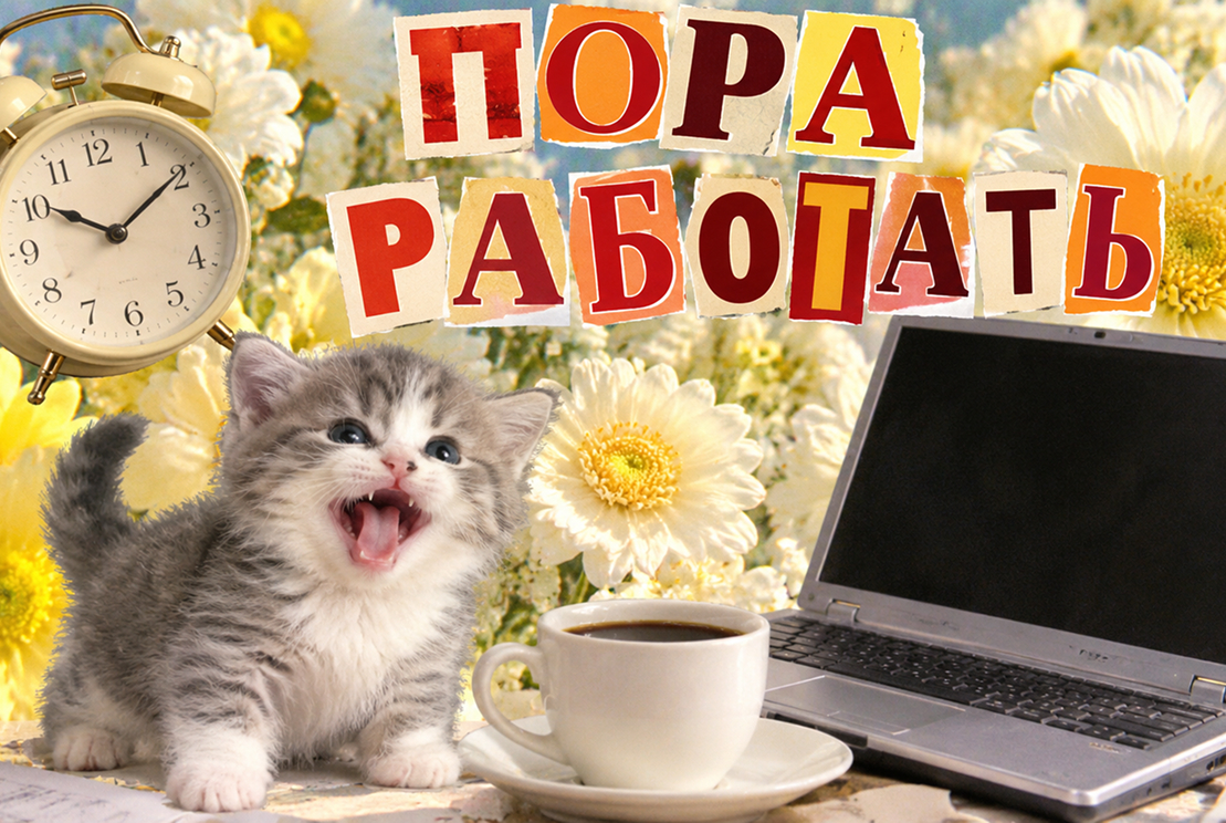 Резюме джуну