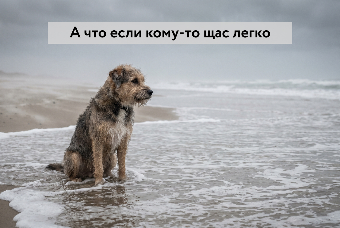 Проверка диплома на антиплагиат
