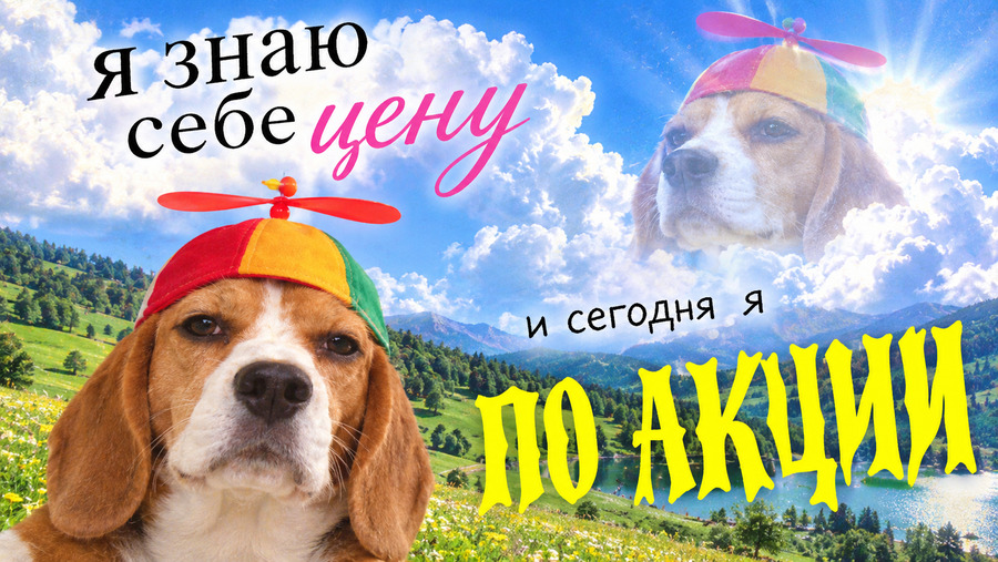 Заменит ли ИИ переводчиков