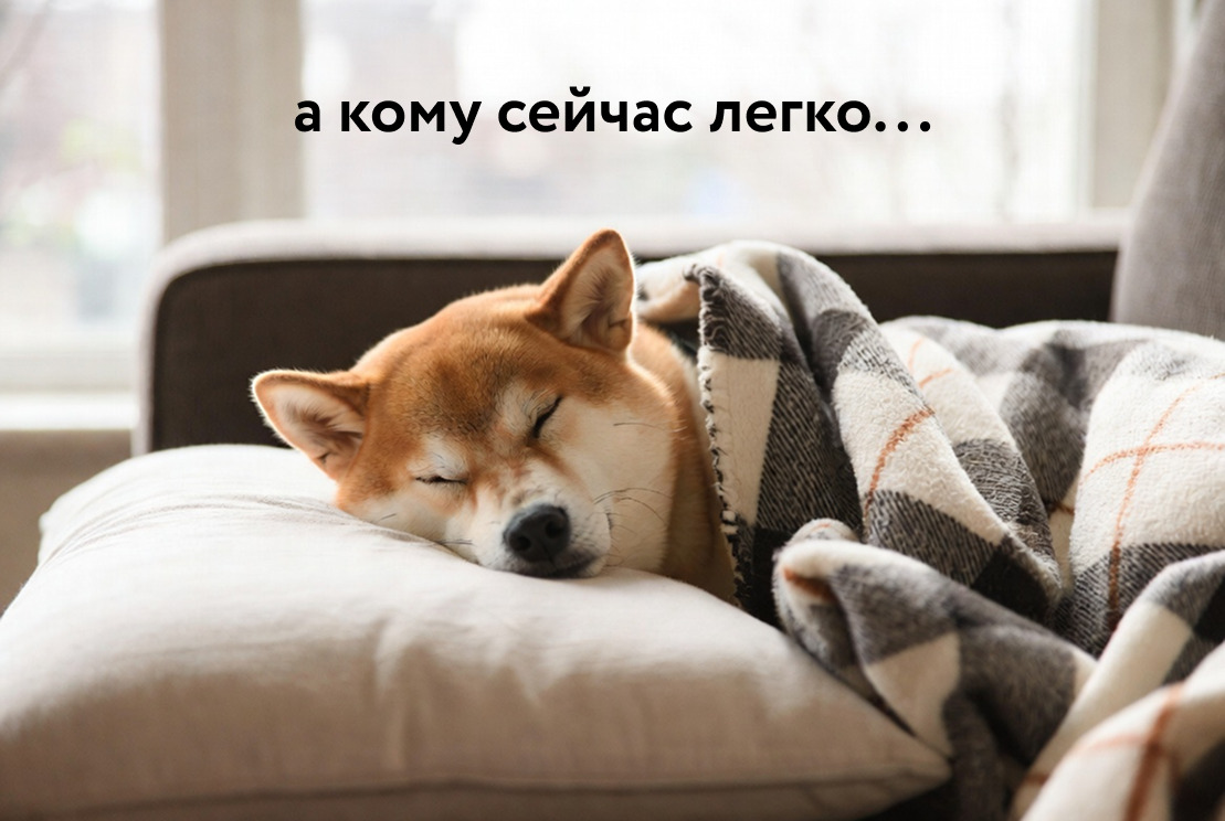 Помощь в учебе