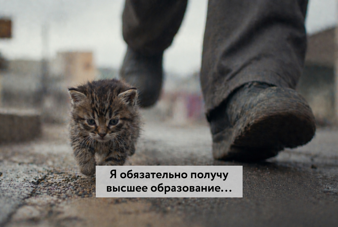 Баллы для поступления в вузы 2026 году