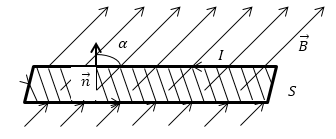 Поток вектора магнитного поля величиной 10 тл