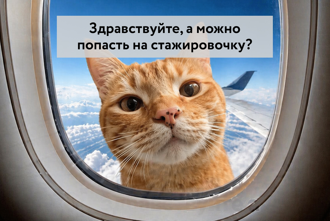 Стажировки для студентов