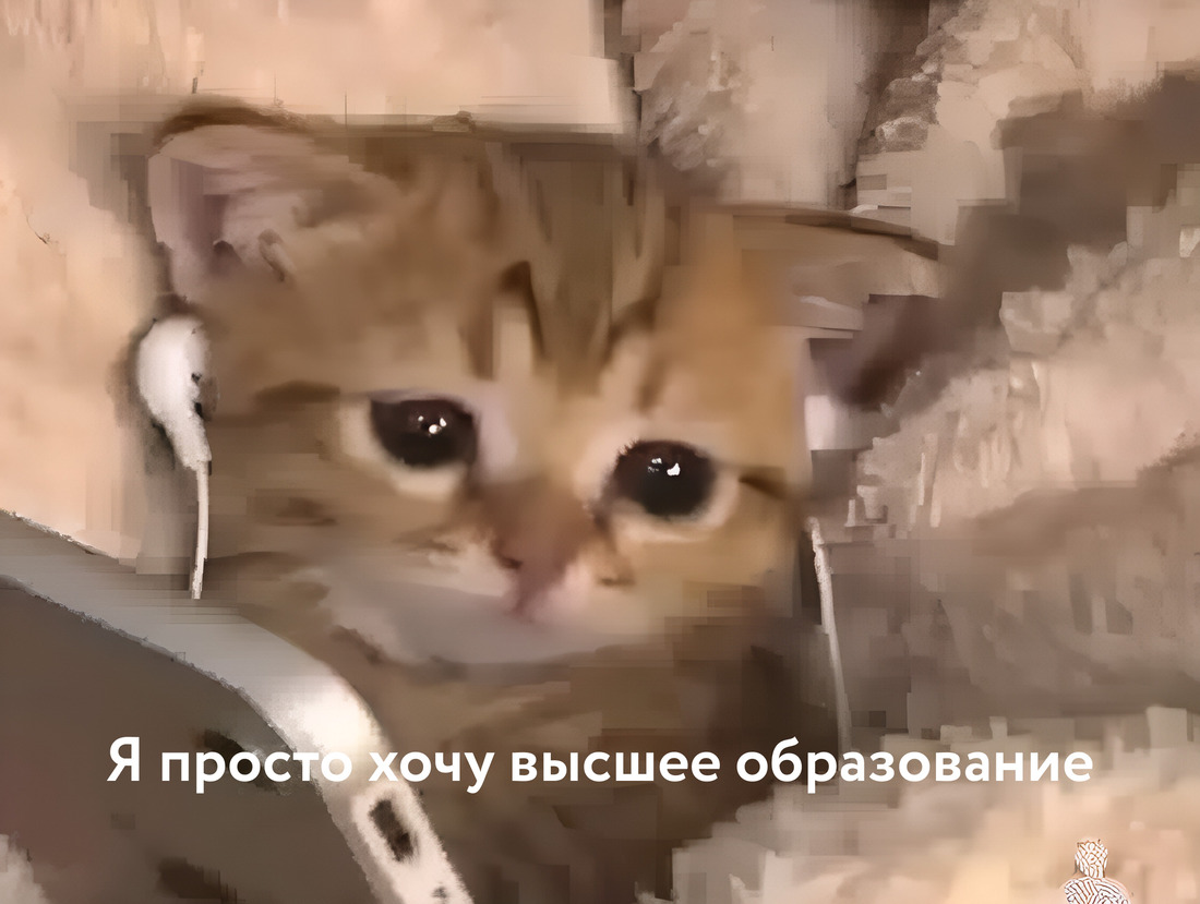 Платные места в вузах