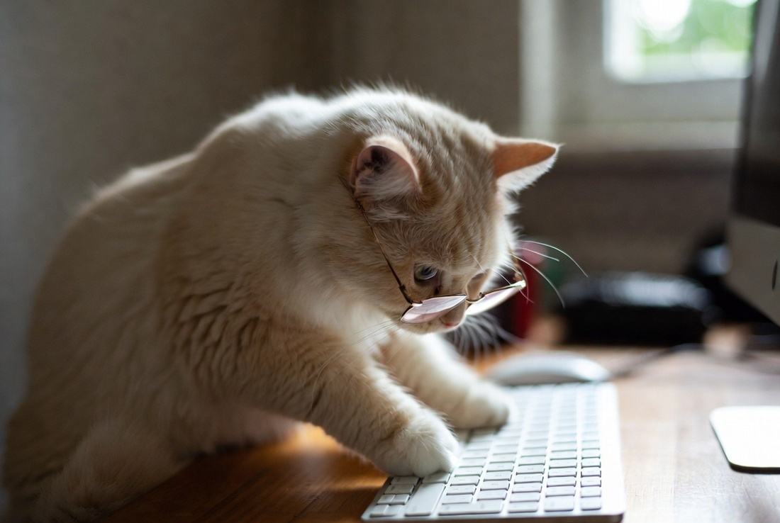 Как увеличить текст