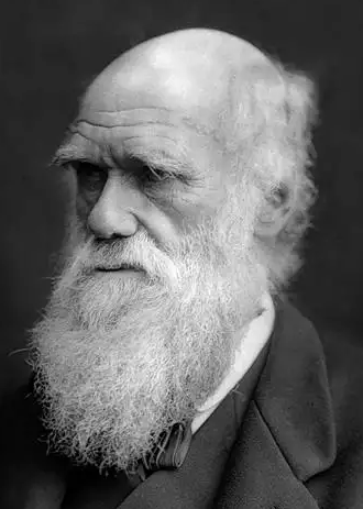 Реферат: Основные принципы учения Дарвина об эволюции