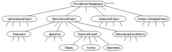 Дерево административной структуры Российской Федерации. Автор24 — интернет-биржа студенческих работ